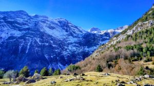 MILJIM- La vuelta a la naturaleza es la clave.