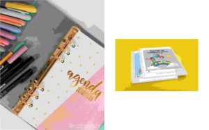 agenda mr wonder
